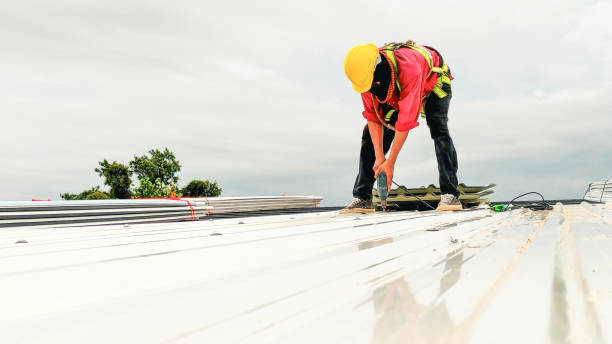 Best Sheet Metal Roofing  in South Oroville, CA